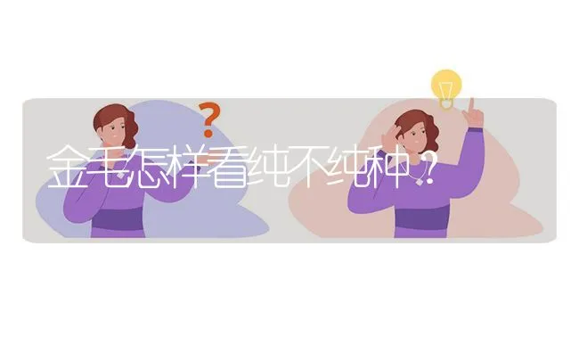 边牧配种颜色，黑白母和什么颜色公，会生出蓝白色宝宝？