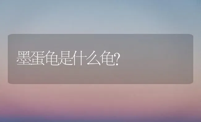 墨蛋龟是什么龟？