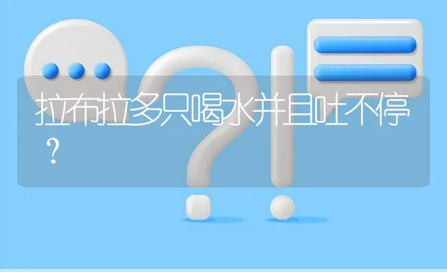 拉布拉多只喝水并且吐不停？