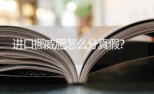 阿拉斯加体重表？