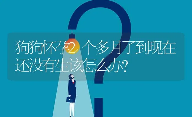 狗狗怀孕2个多月了到现在还没有生该怎么办？