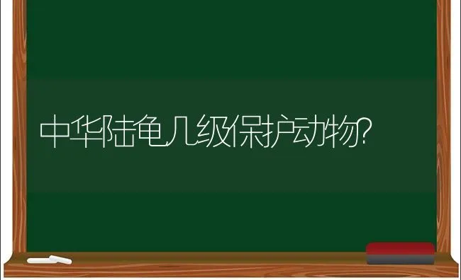 中华陆龟几级保护动物？