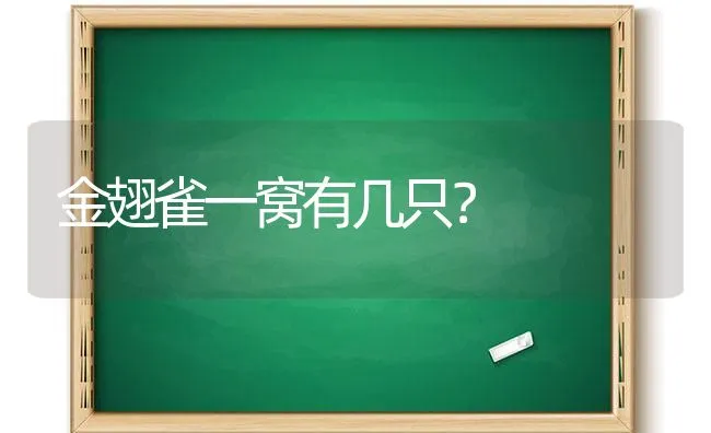 金翅雀一窝有几只？