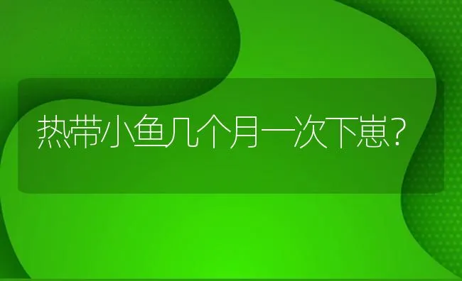 热带小鱼几个月一次下崽？