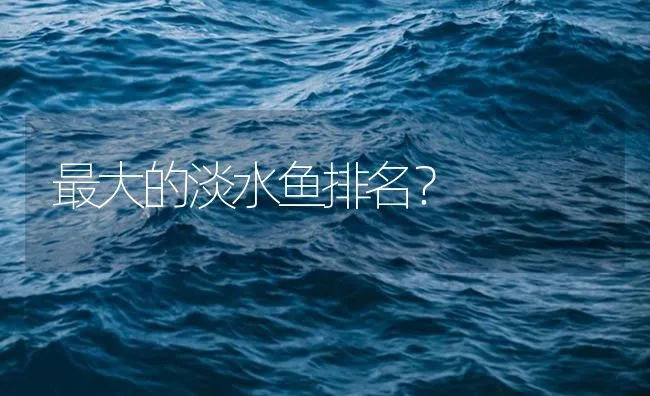 最大的淡水鱼排名？