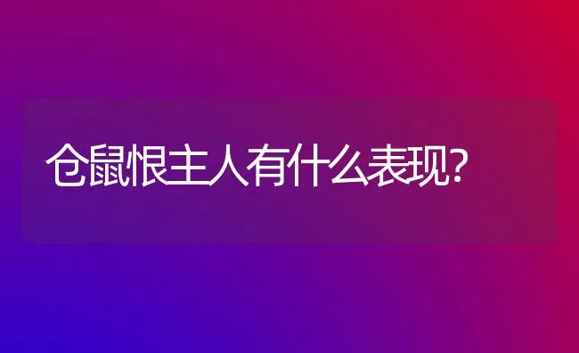 仓鼠恨主人有什么表现？