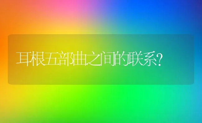 耳根五部曲之间的联系？