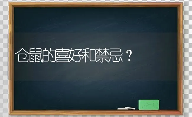 仓鼠的喜好和禁忌？