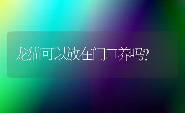 龙猫可以放在门口养吗？