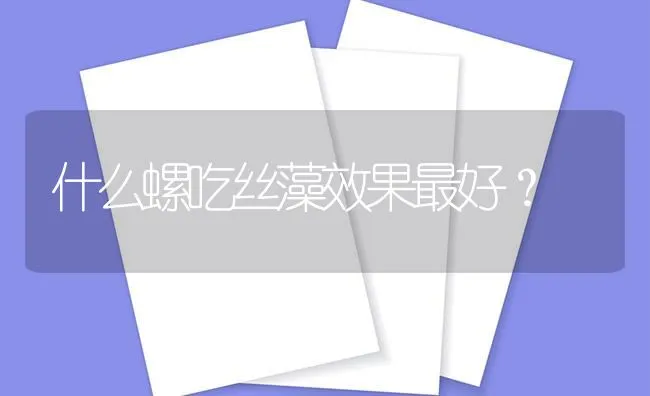 什么螺吃丝藻效果最好？