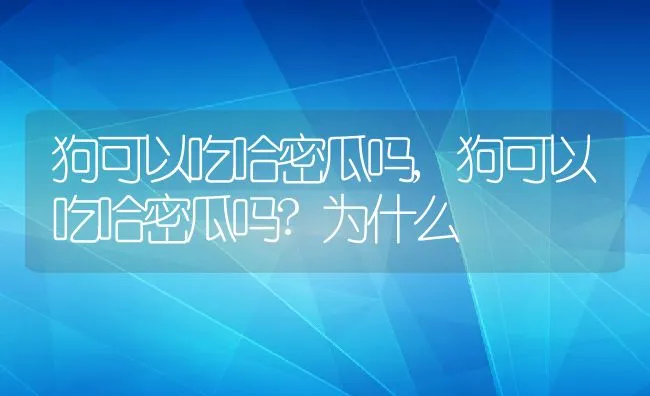 狗可以吃哈密瓜吗,狗可以吃哈密瓜吗?为什么