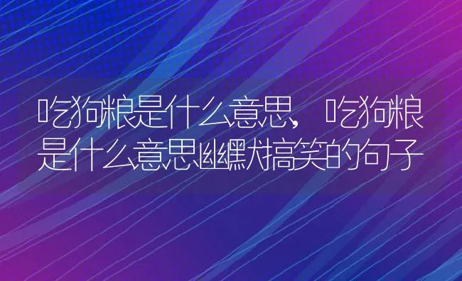 吃狗粮是什么意思,吃狗粮是什么意思幽默搞笑的句子