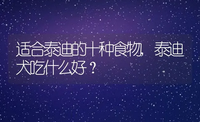 适合泰迪的十种食物,泰迪犬吃什么好？