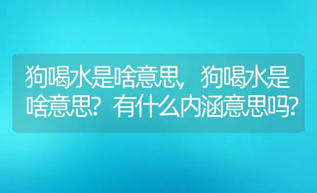 狗喝水是啥意思,狗喝水是啥意思?有什么内涵意思吗?