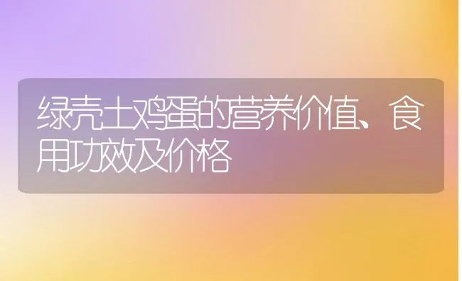 绿壳土鸡蛋的营养价值、食用功效及价格