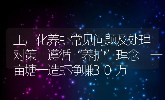 工厂化养虾常见问题及处理对策 遵循“养护”理念 一亩塘一造虾净赚30万