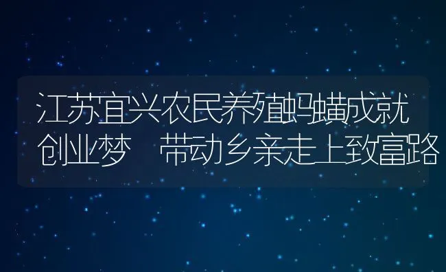 江苏宜兴农民养殖蚂蟥成就创业梦 带动乡亲走上致富路