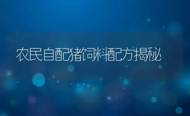 农民自配猪饲料配方揭秘