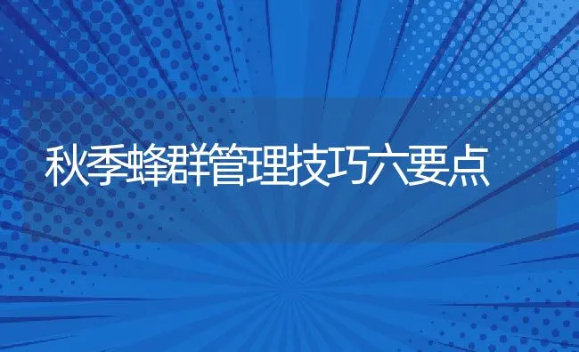 秋季蜂群管理技巧六要点