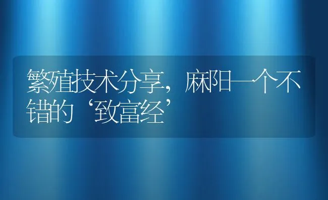 繁殖技术分享，麻阳一个不错的‘致富经’