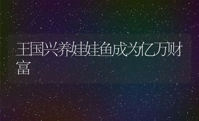 王国兴养娃娃鱼成为亿万财富