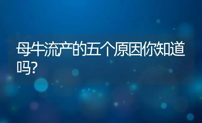 母牛流产的五个原因你知道吗？