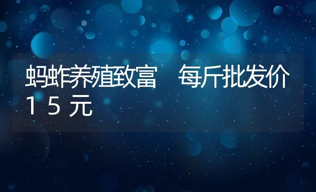 蚂蚱养殖致富 每斤批发价15元