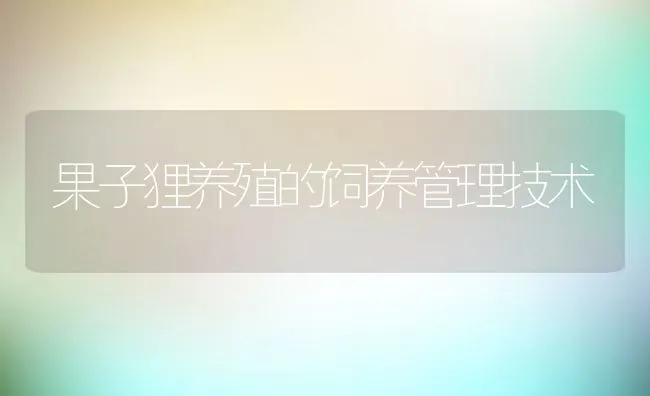 果子狸养殖的饲养管理技术