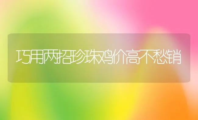 巧用两招珍珠鸡价高不愁销